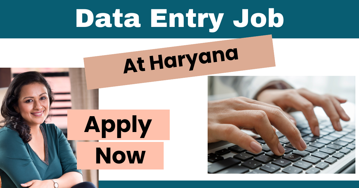 govt job vacancy in haryana for 12th graduate